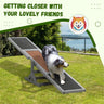 Wooden Dog Agility Seesaw ( Amazon Shipping)(Prohibited By WalMart